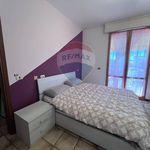 Rent 4 bedroom apartment of 55 m² in Viareggio