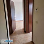 Rent 3 bedroom apartment of 86 m² in Roma
