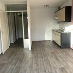 Rent 2 bedroom apartment of 75 m² in Hattem