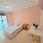 Alquilar 5 dormitorio apartamento en Alicante