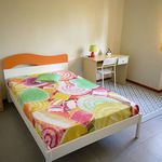 Rent 3 bedroom apartment of 70 m² in Valdilana