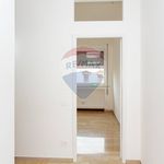 Rent 3 bedroom apartment of 95 m² in Catania