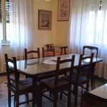 Rent 5 bedroom apartment of 90 m² in Udine