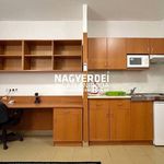 Rent 1 bedroom apartment of 26 m² in Debrecen