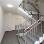 Rent 2 bedroom apartment of 40 m² in Leibnitz