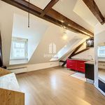 Rent 1 bedroom apartment of 16 m² in Strasbourg