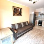 Rent 2 bedroom apartment of 49 m² in Cracow