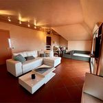 Rent 1 bedroom apartment of 125 m² in Desenzano del Garda