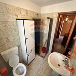 Rent 3 bedroom apartment of 90 m² in Biella