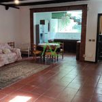 Rent 1 bedroom apartment of 85 m² in San Gregorio di Catania