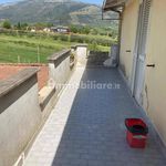 Rent 5 bedroom house of 160 m² in Anagni