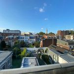 Rent 1 bedroom apartment of 25 m² in Lille