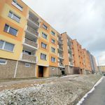 Rent 1 bedroom apartment of 36 m² in Žlutice