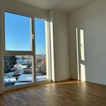 Rent 2 bedroom apartment of 44 m² in Lieboch