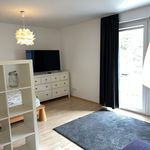 Rent 1 bedroom apartment of 35 m² in Heidelberg