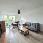 Rent 4 bedroom apartment of 71 m² in Pau