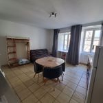 Rent 1 bedroom apartment of 21 m² in Saint-Thuriau