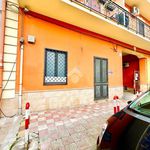 Rent 1 bedroom apartment of 50 m² in Casalnuovo di Napoli