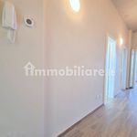 Rent 3 bedroom apartment of 56 m² in Pisa
