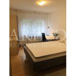 Rent 5 bedroom apartment of 120 m² in Zagreb