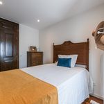 Rent 4 bedroom house of 220 m² in Cabeceiras de Basto