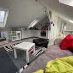 Miete 2 Schlafzimmer wohnung von 40 m² in Nürnberg