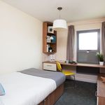 Rent 1 bedroom student apartment of 12 m² in Bath
