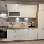 Rent 1 bedroom apartment of 56 m² in Gliwice