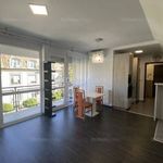 Rent 2 bedroom apartment of 46 m² in Győr