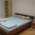 Rent a room of 130 m² in Krakow
