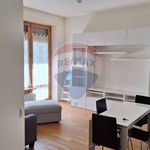 Rent 3 bedroom apartment of 75 m² in Monza