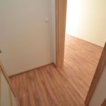 Rent 3 bedroom apartment of 90 m² in Volfířov
