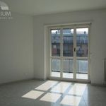 2-room flat good condition, sixth floor, Centro, Cesano Boscone