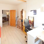 Pronajměte si 3 ložnic/e byt o rozloze 55 m² v Svitavy