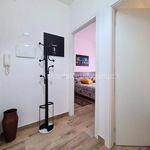 Rent 2 bedroom apartment of 40 m² in Borghetto Santo Spirito