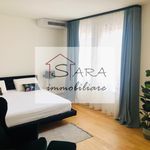 Rent 1 bedroom apartment of 45 m² in Padova