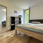 Rent 2 bedroom apartment of 39 m² in Plzeň