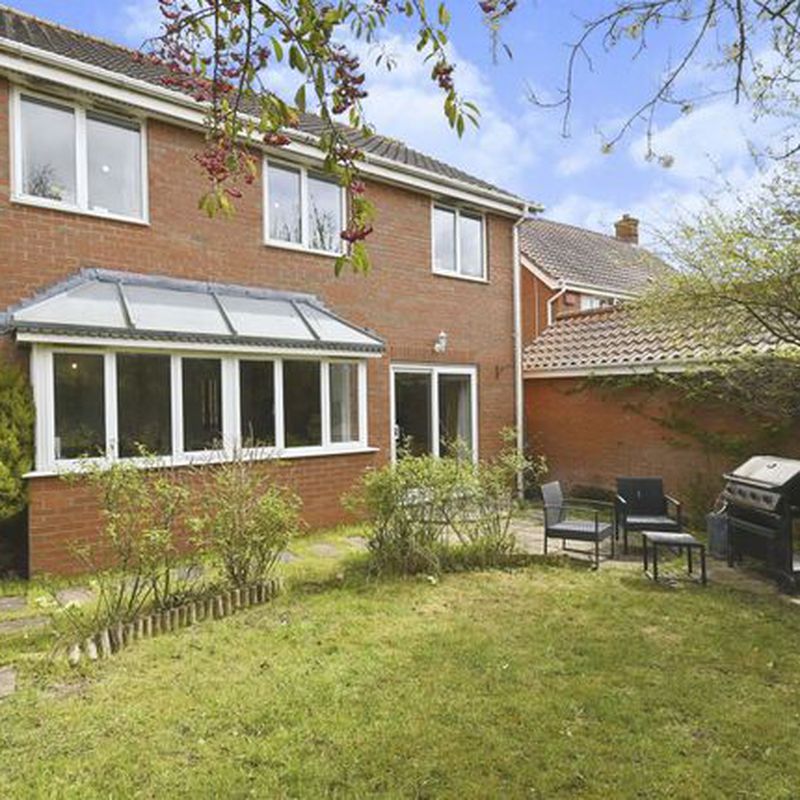 Detached house to rent in Mardle Street, Norwich NR5 Bowthorpe