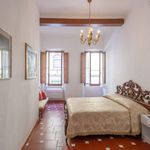 Rent 2 bedroom apartment of 65 m² in Firenze