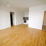 Rent 2 bedroom apartment of 70 m² in Linz