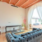 Rent 4 bedroom apartment of 700 m² in Signa