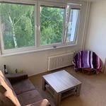 Rent 1 bedroom apartment in Přerov