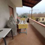 Affitto 5 camera appartamento di 150 m² in Piedimonte San Germano
