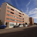 Rent 2 bedroom apartment of 61 m² in Guadalajara