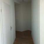 Rent 3 bedroom apartment of 66 m² in Basel