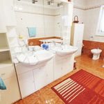 Rent 2 bedroom apartment of 100 m² in County of Primorje-Gorski kotar