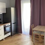 Furnished new apartment with fitted kitchen in Angerbogen