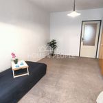 Rent 4 bedroom apartment in Brno