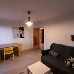 Rent 1 bedroom apartment of 50 m² in Katowice