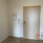 Rent 1 bedroom apartment of 31 m² in Klenovice na Hané